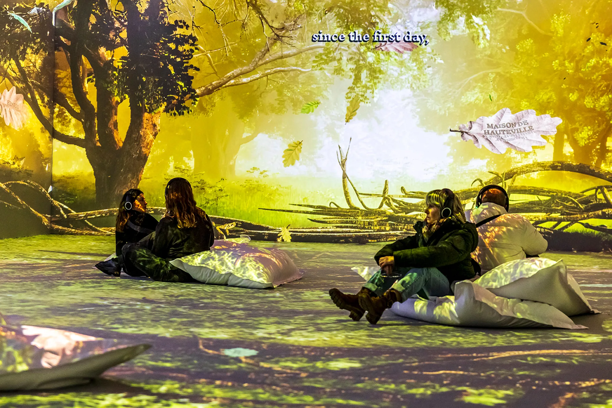 Groups Cité Immersive Viking